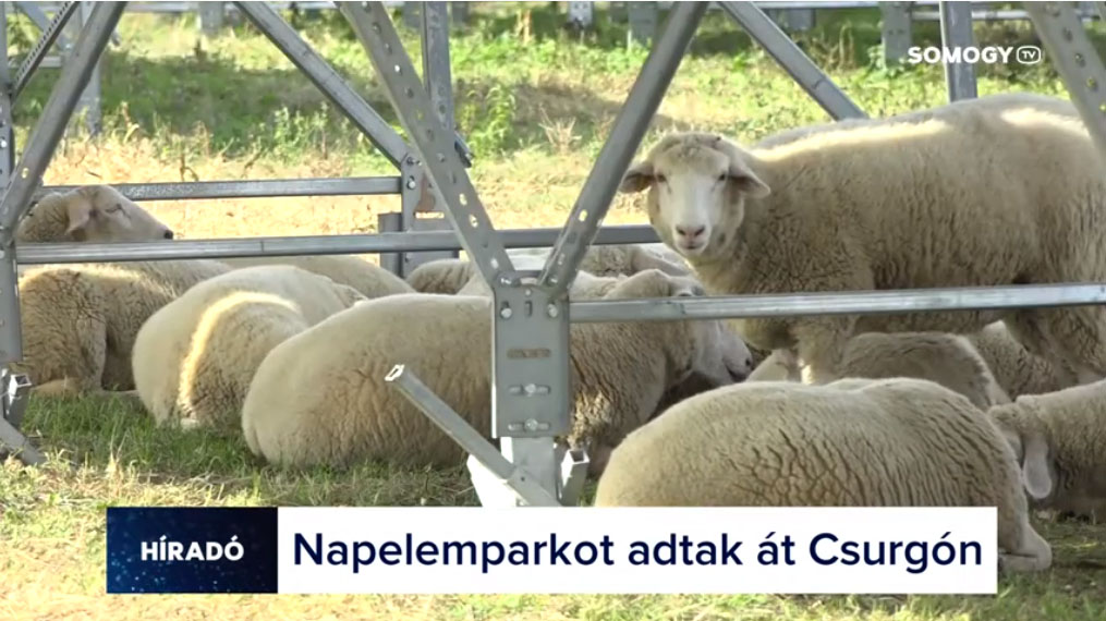 Napelempark épült Csurgón / Somogy TV