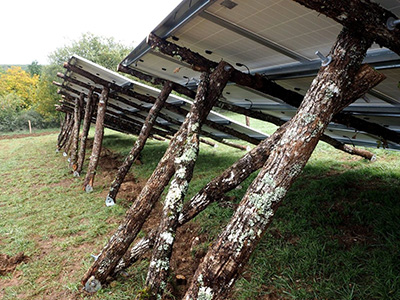 Tölgyfa lábazatos napelempark Franciaországban. Fotó: PV-magazine